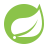 springBoot